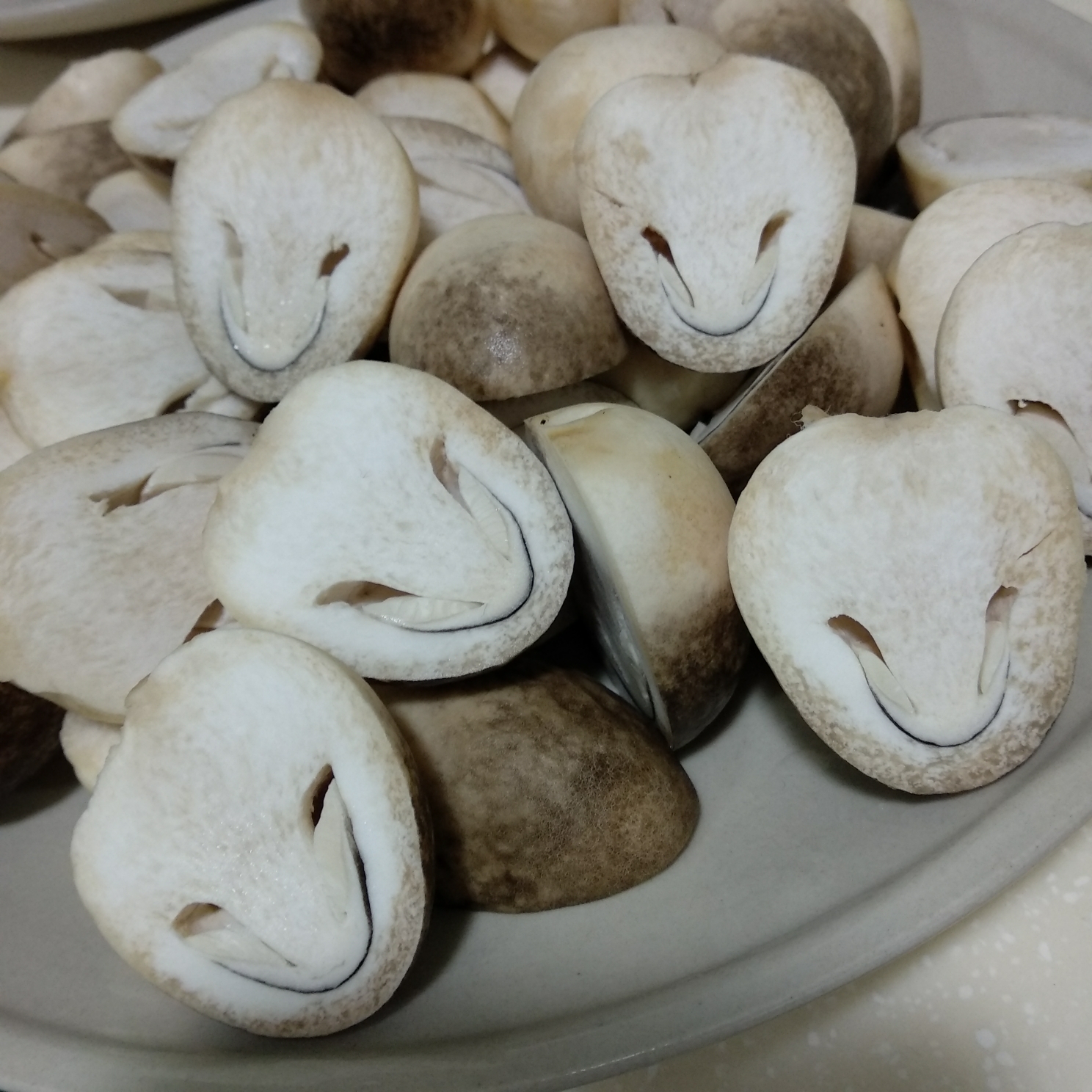 草菇 形态与营养的完美结合
