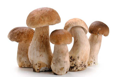 草菇焯水的正确方法与时间技巧