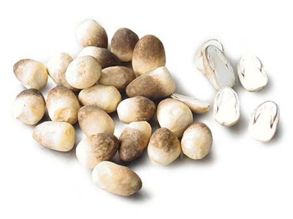 草菇的营养价值与食用禁忌全解析