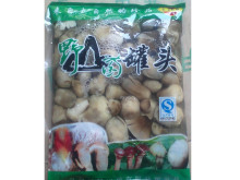 正方形餐盒15497 草菇的清新料理与便携美学