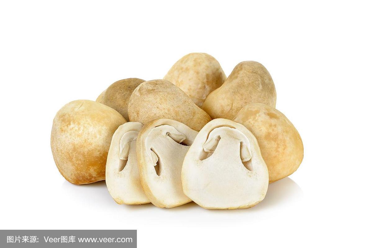 草菇 独立于白色背景的鲜美